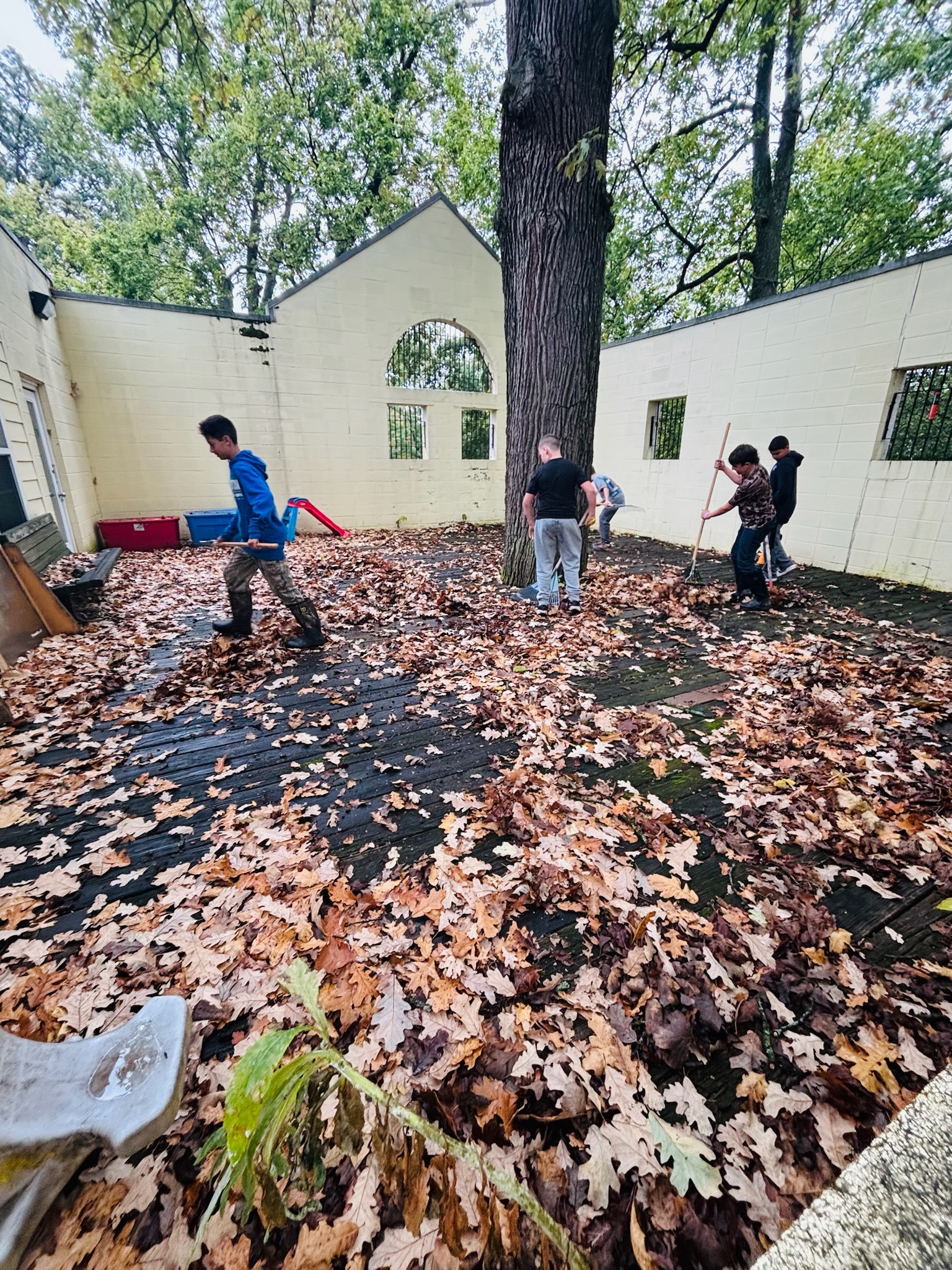 Volunteers raking leaves in the yard at The Nest